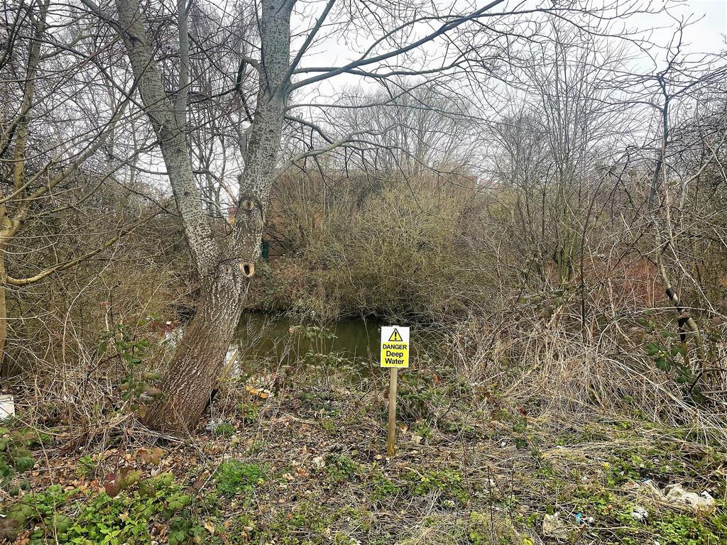 Pond in Swindon   1.jpg