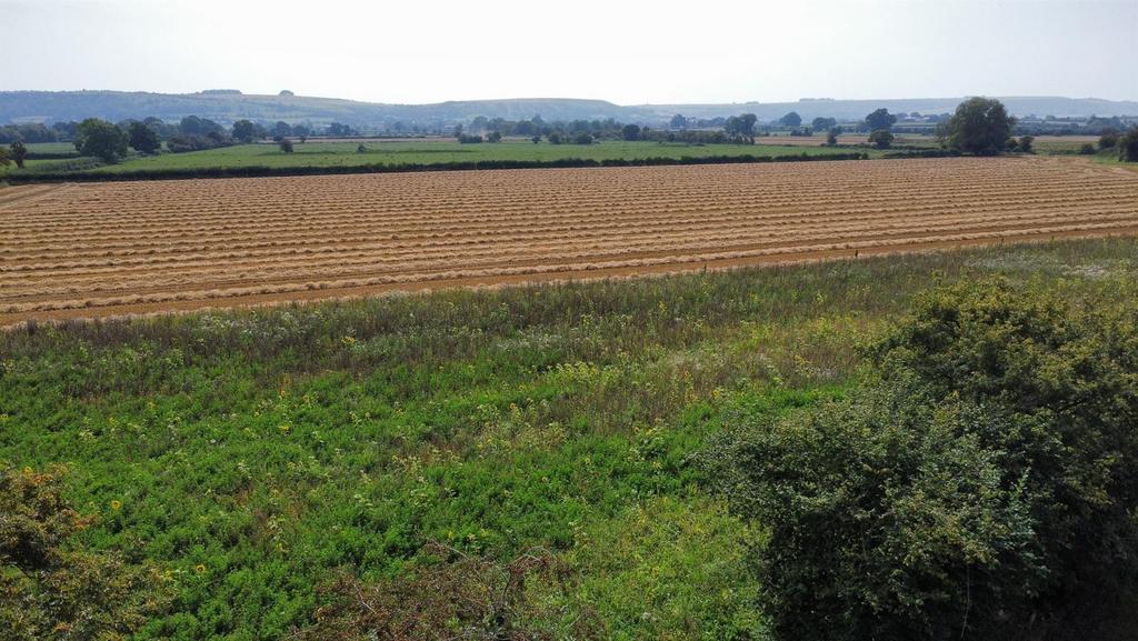 Westbury Downs.jpg