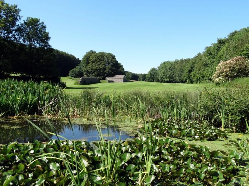 View over pond on 7th tee jpg
