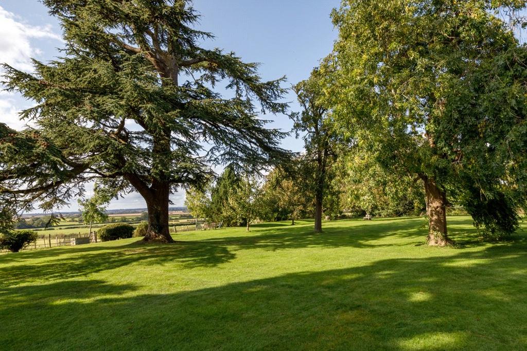 Lawn
