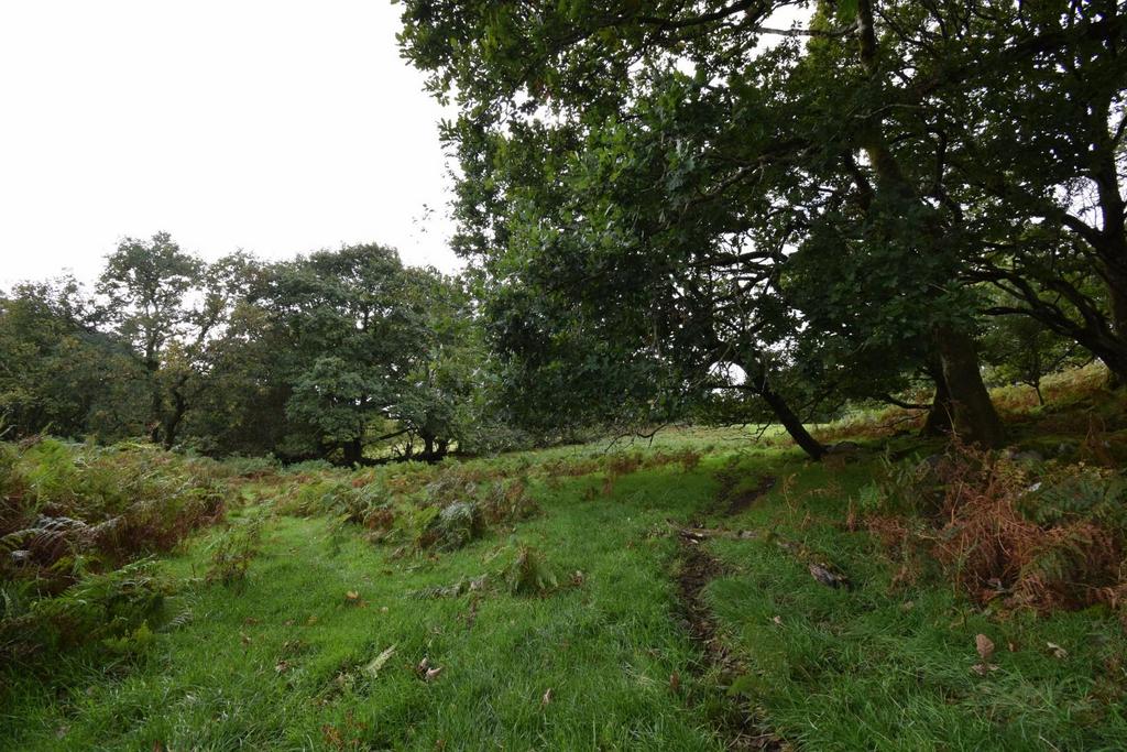Land (1).JPG