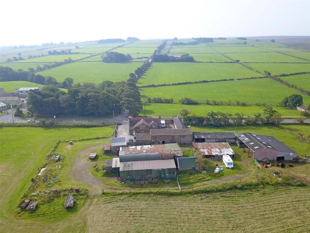 Dji 0005.jpg