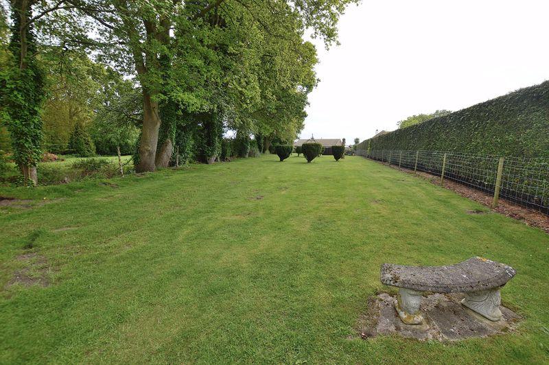 Rear garden 2