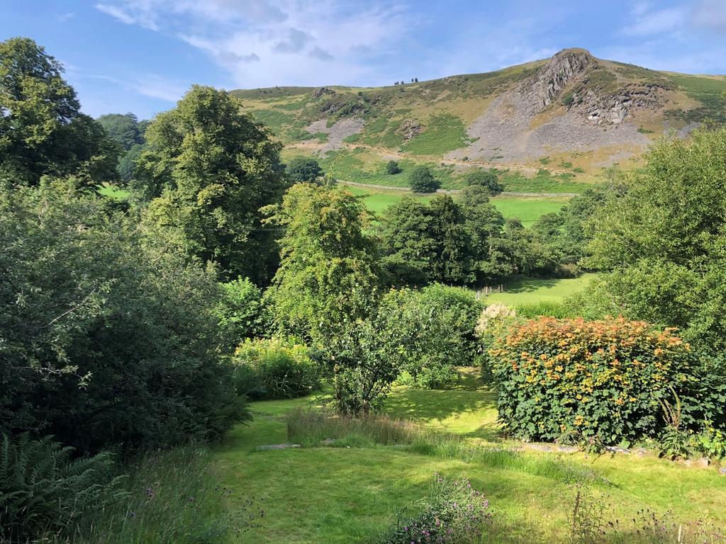 Llanddewi Brefi, Tregaron, SY25 3 bed property with land for sale £