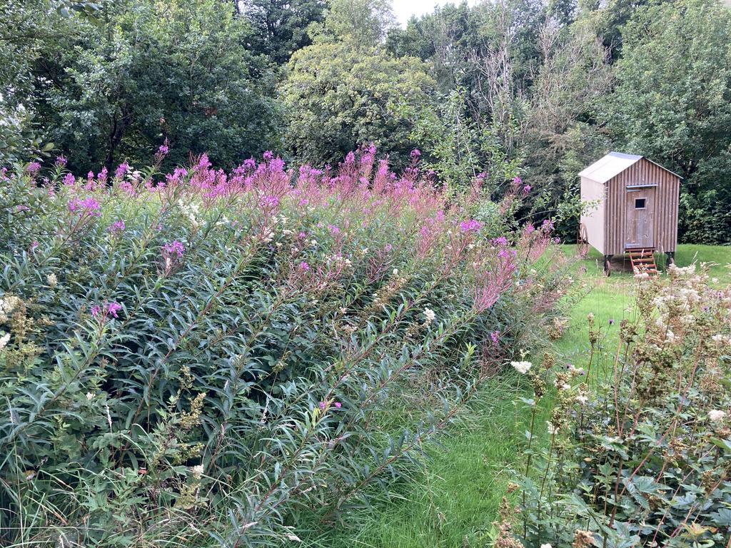 Shepherd's hut