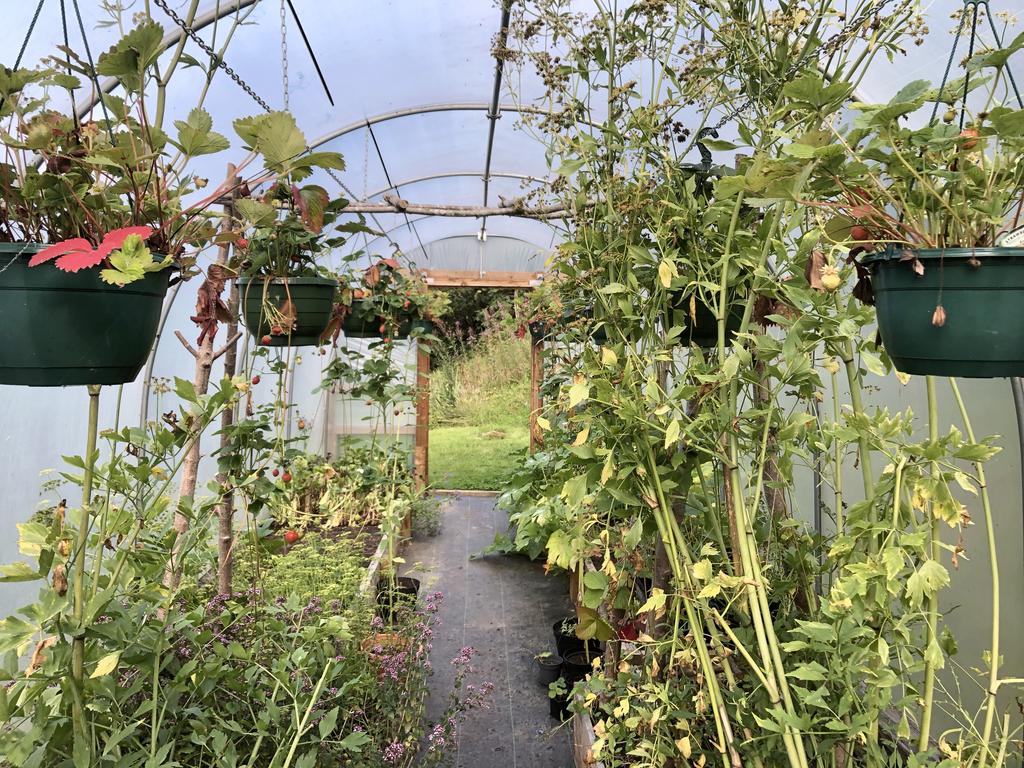 Poly tunnel