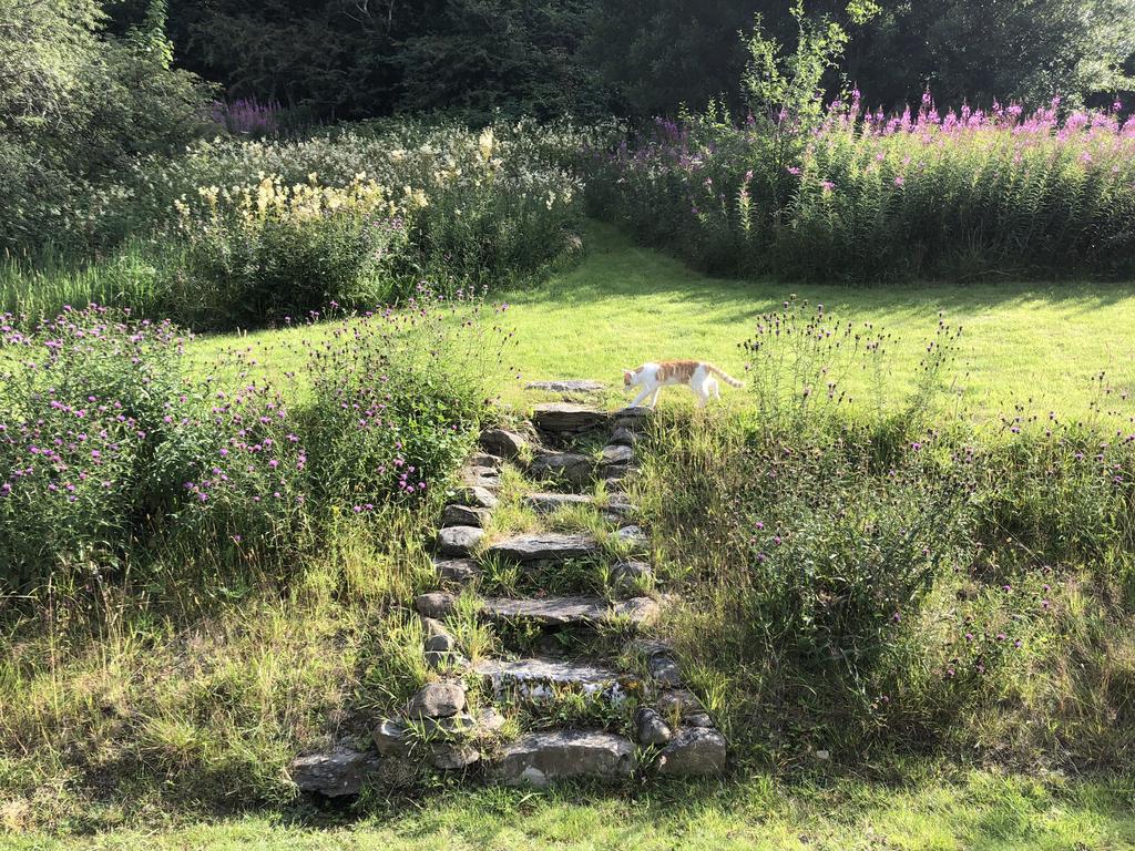 Garden (second image)