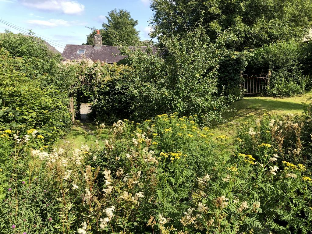 Garden (third image)