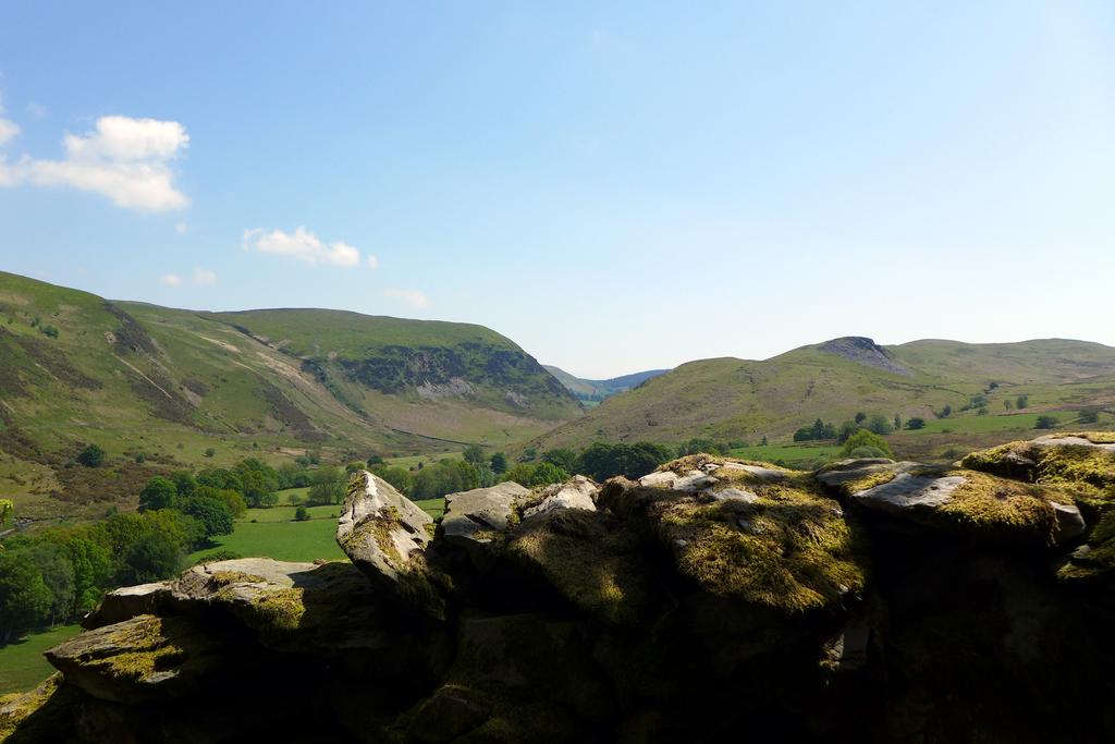 View from woodland