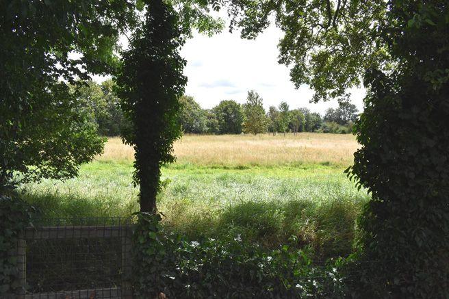 Rear Garden View