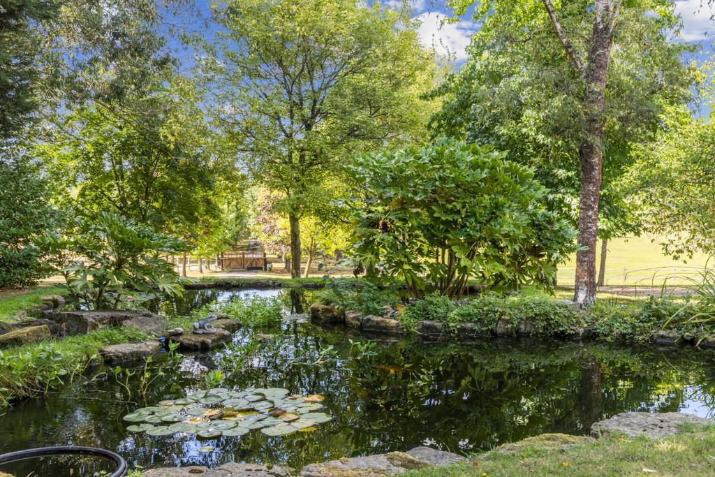 Pond