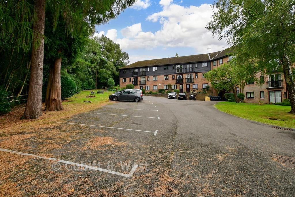 Driveway/Parking