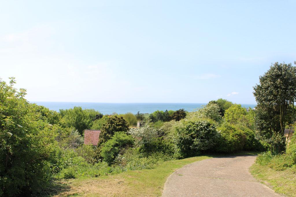 View From Top Of Drive