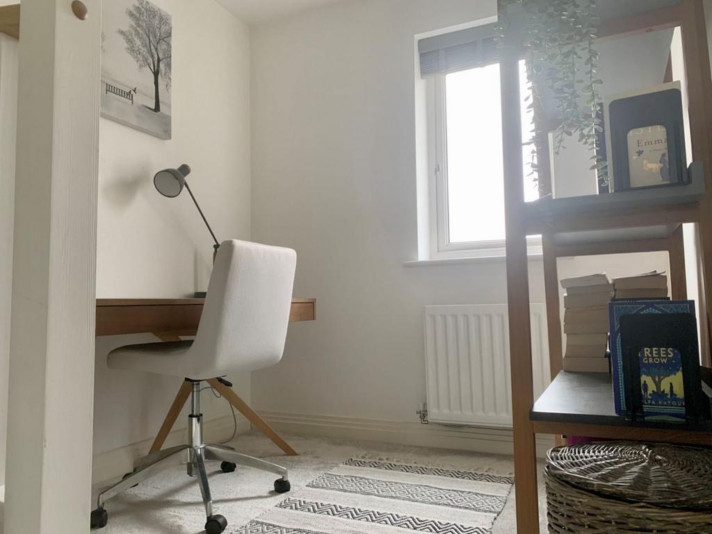 Study area