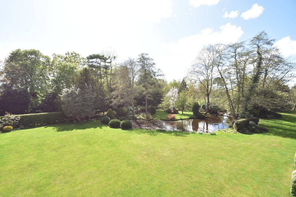 Grounds