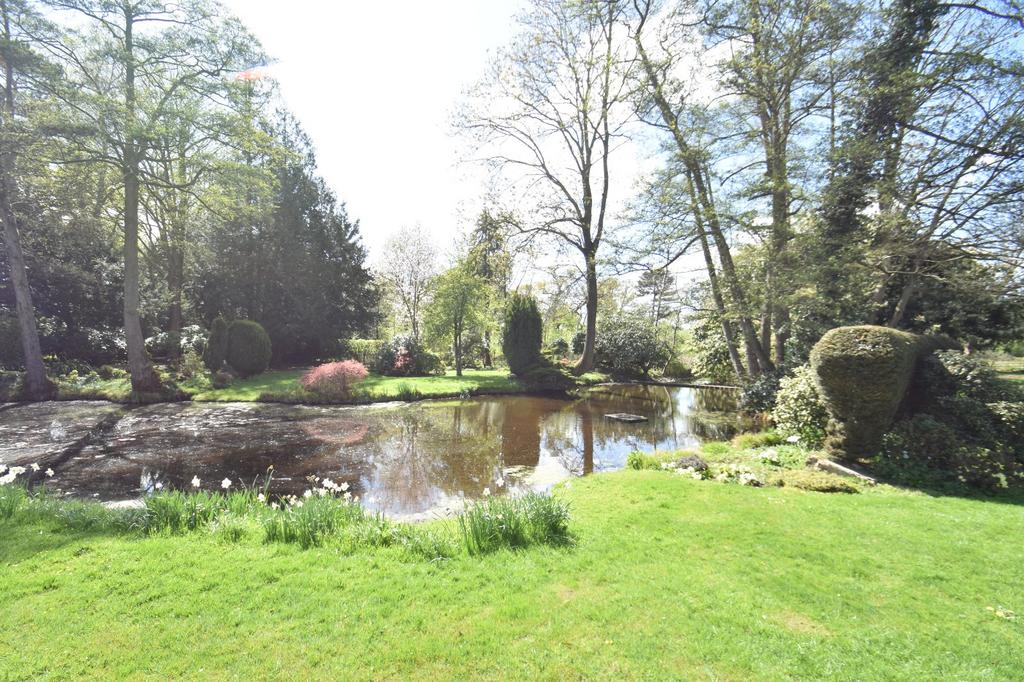 Grounds