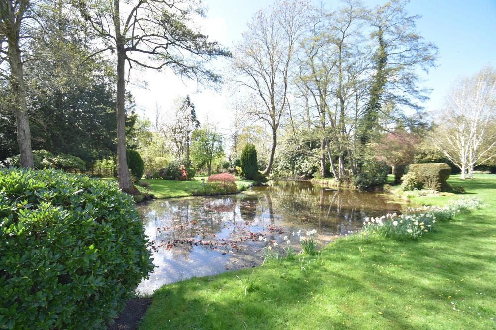 Grounds