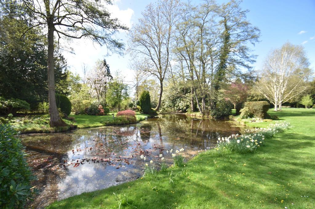 Grounds