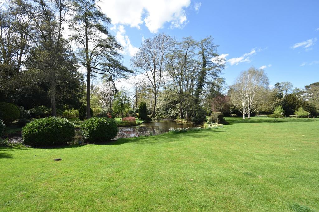 Grounds