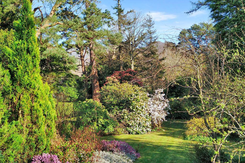 Communal Garden