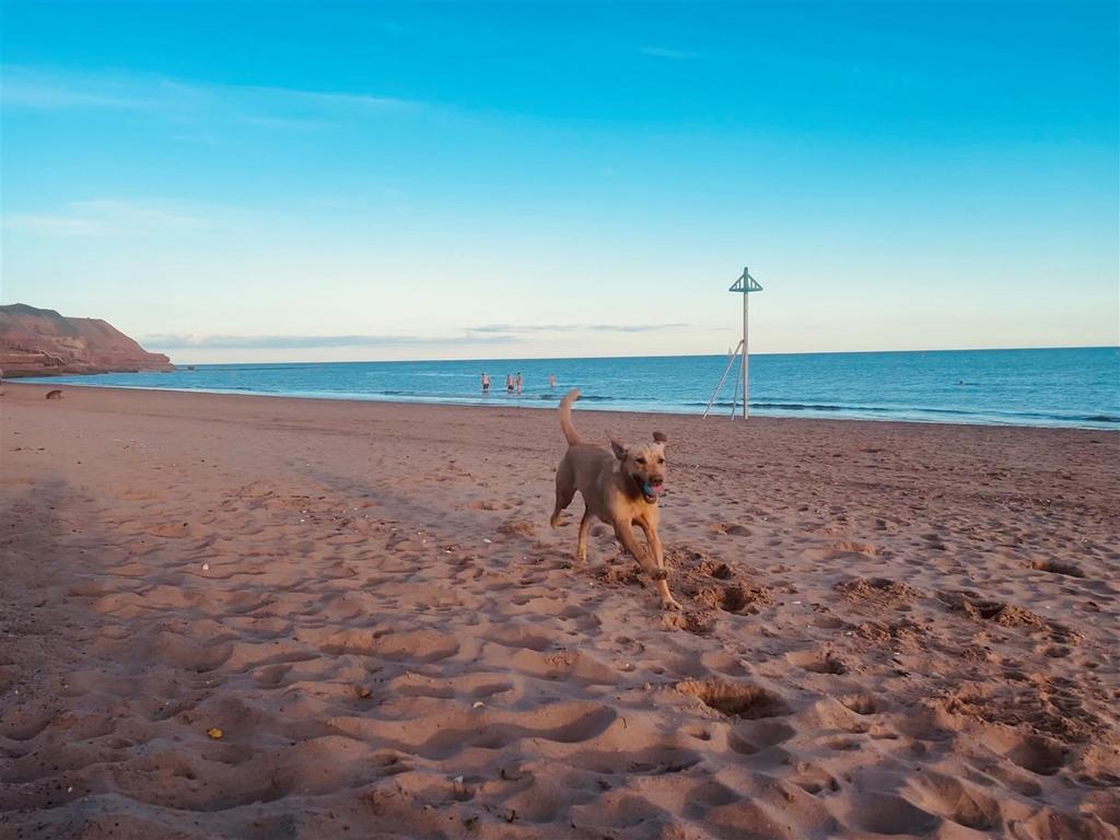 Exmouth.jpg