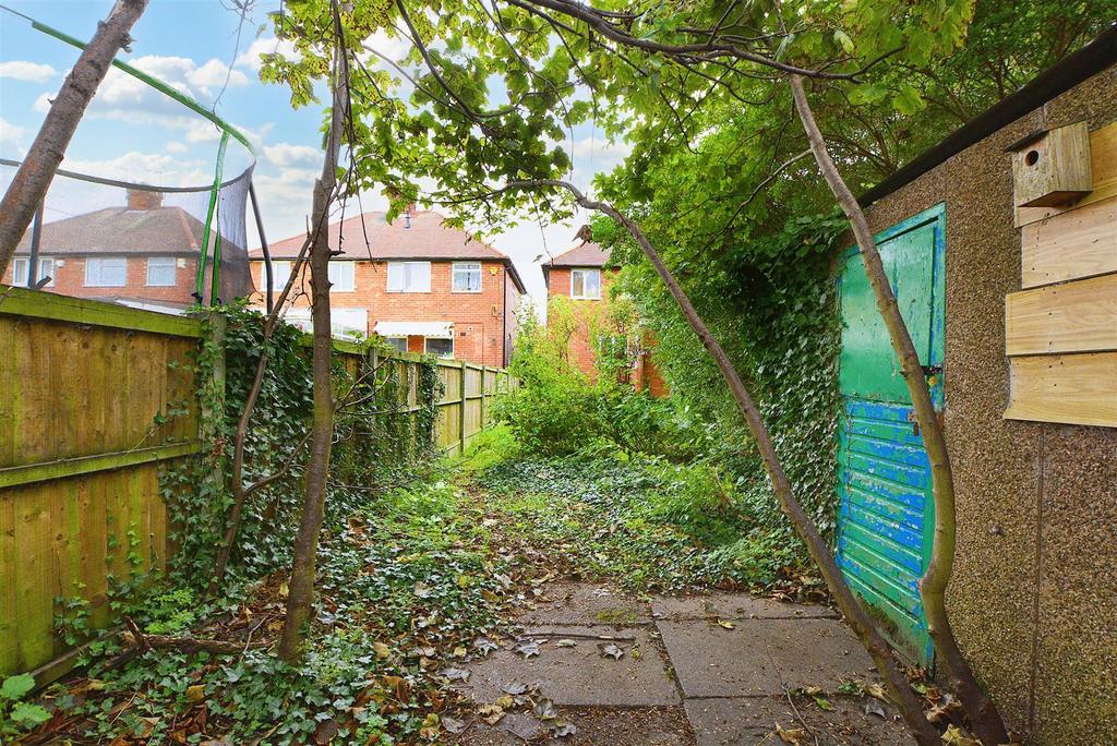 Garden 5.jpg