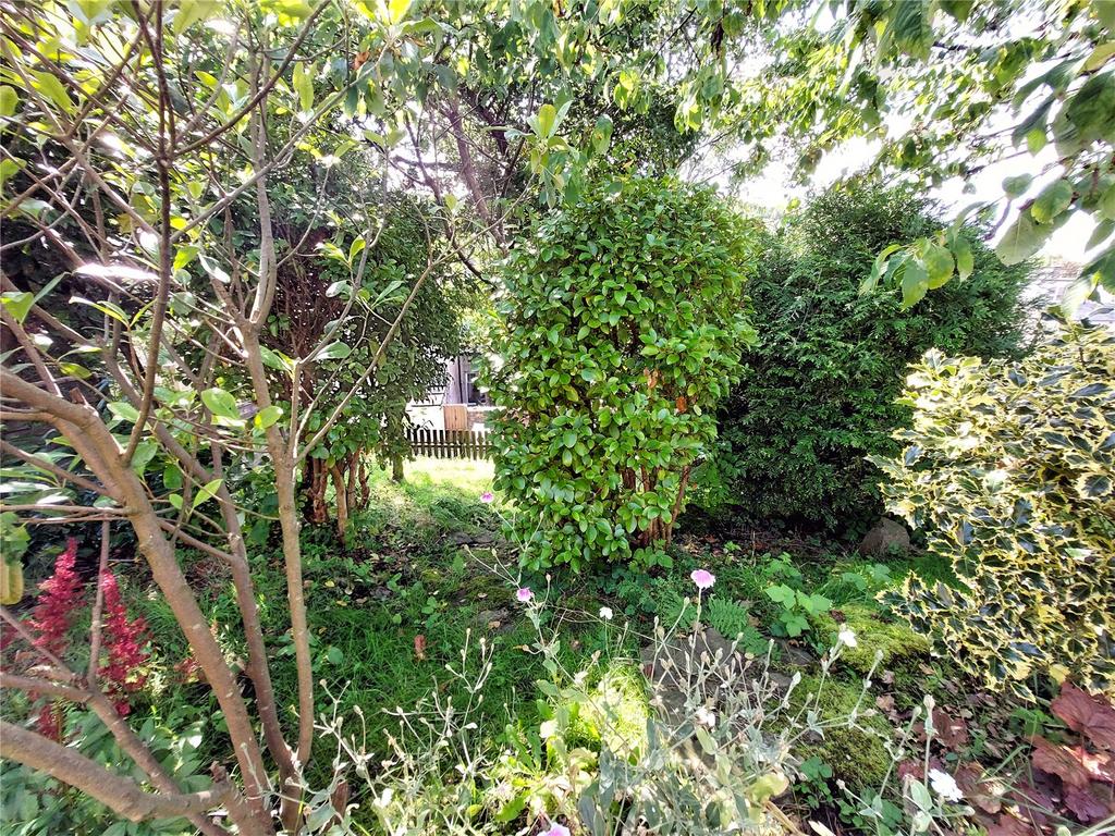 Lower Wooded Garden