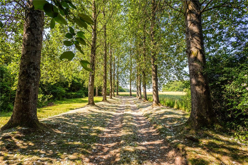 Wellow Drive, West Wellow, Romsey, Hampshire, SO51 4 bed detached house