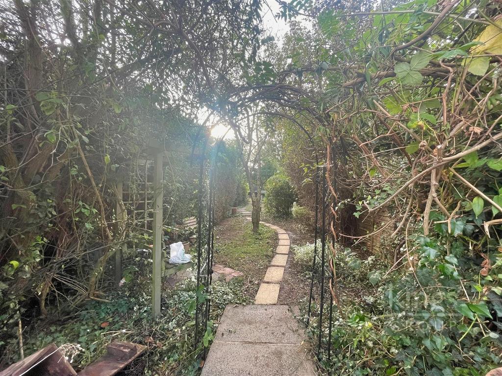 Garden 3.jpg