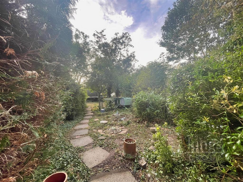 Garden 4.jpg