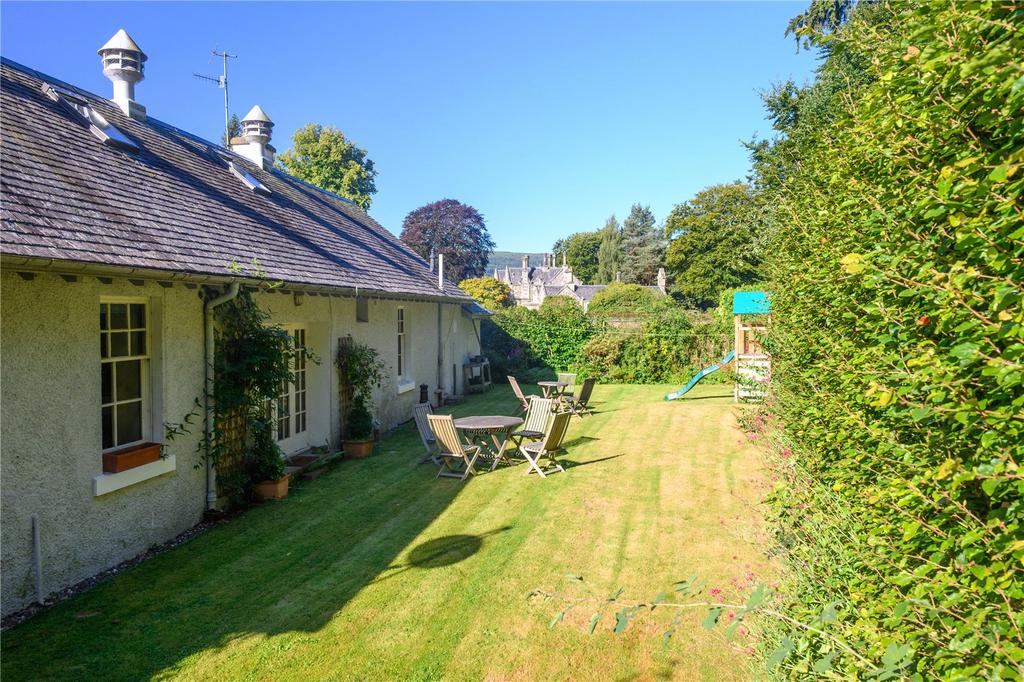 Back Garden