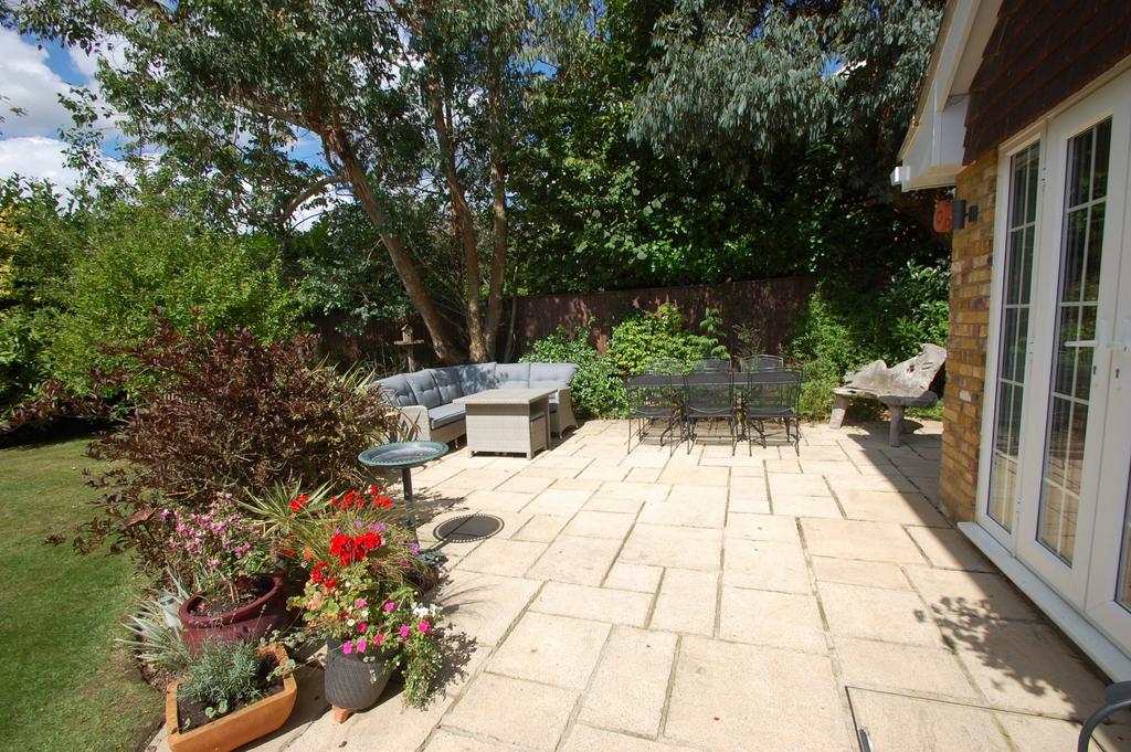 Rear Garden 3