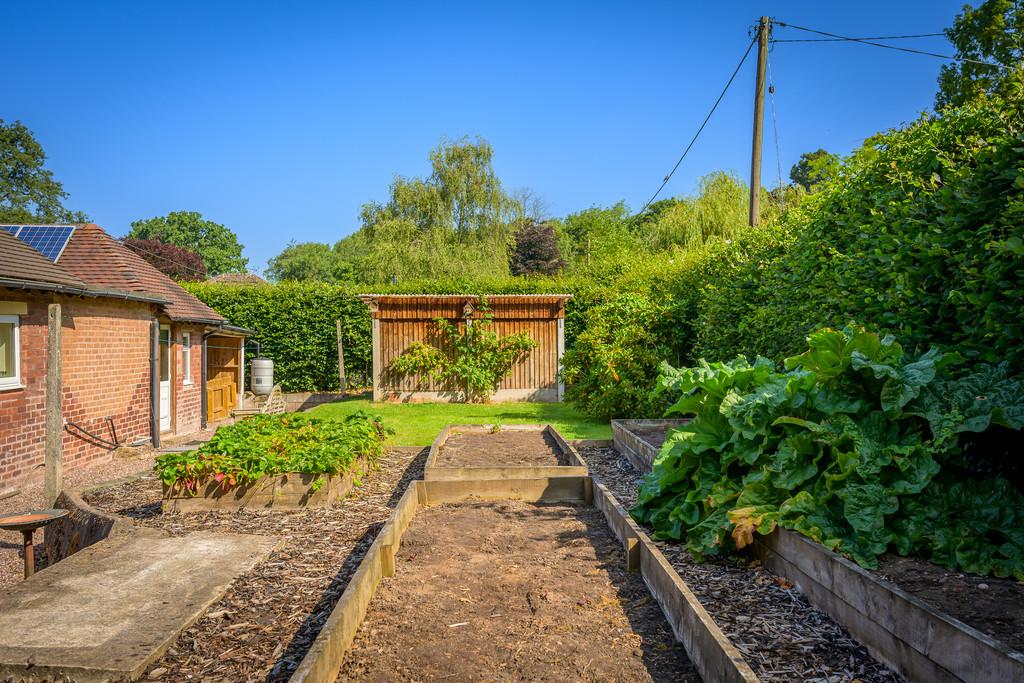 Garden3