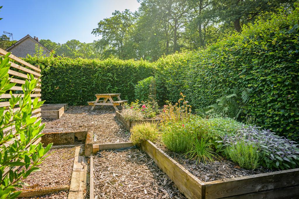 Garden2