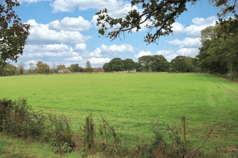 Field Opposite