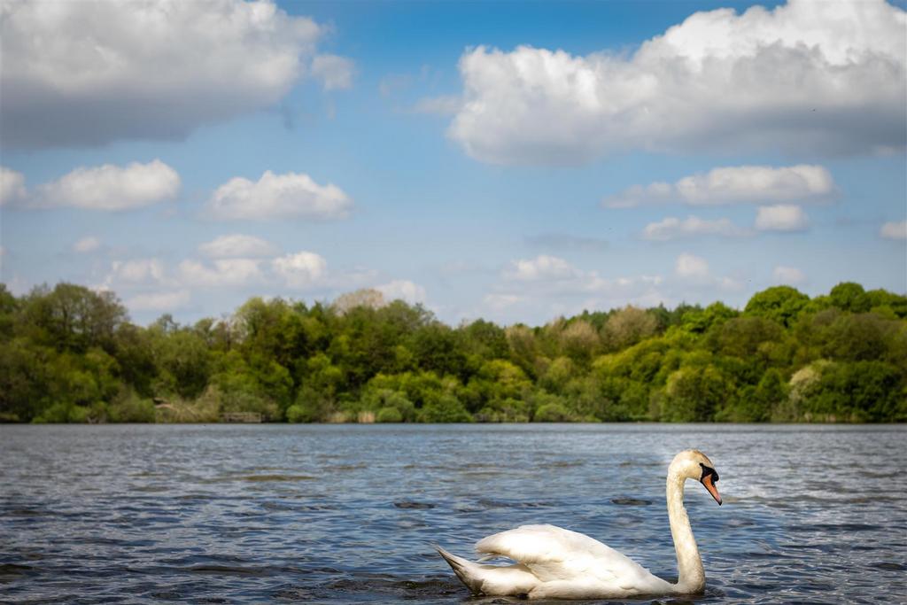 Balcombe Lake