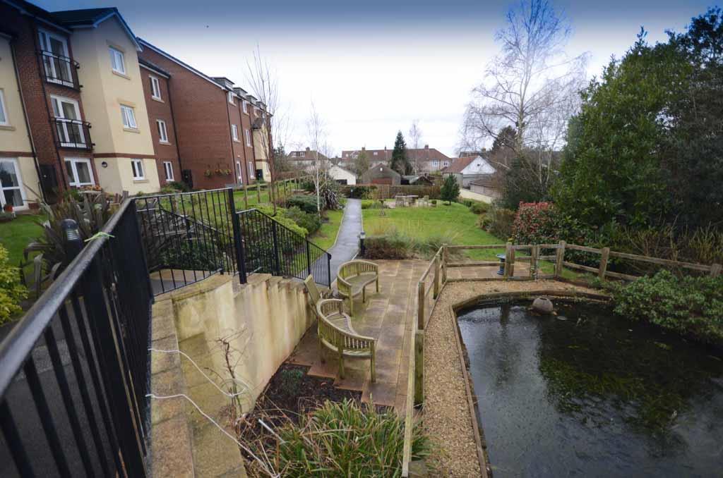 Communal gardens 3.jpg