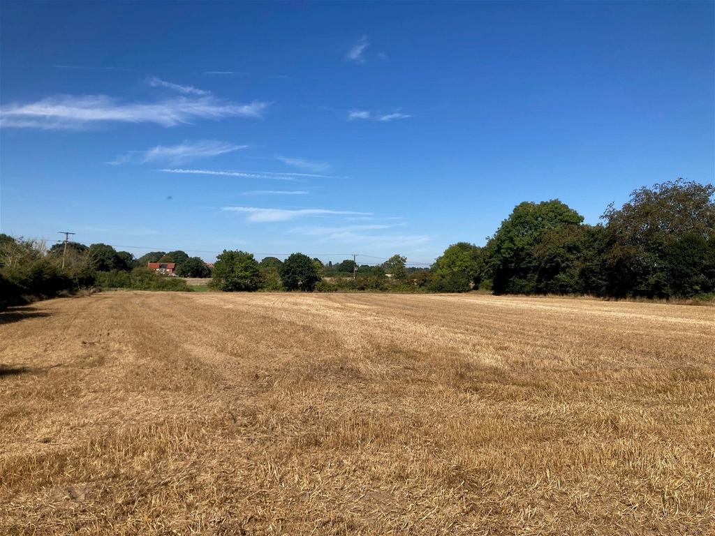 Lot 1 Land at Banningham Land £30,000