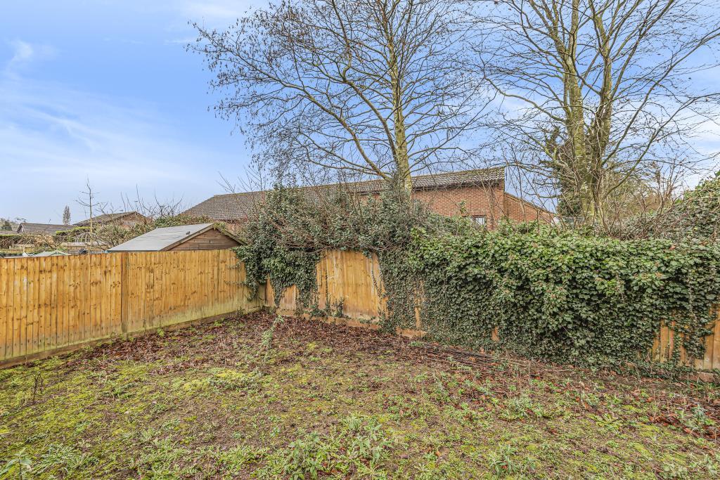 Photos