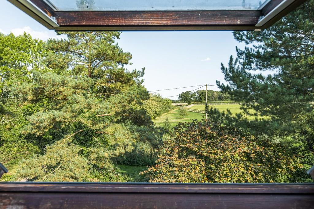 Countryside Views