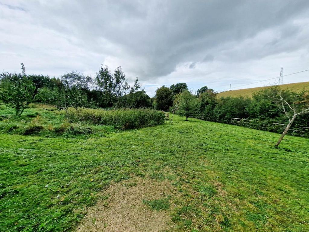 Communal Orchard