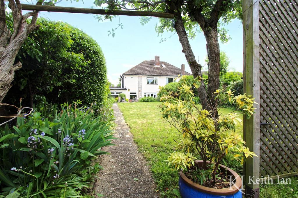 Garden 3.jpg