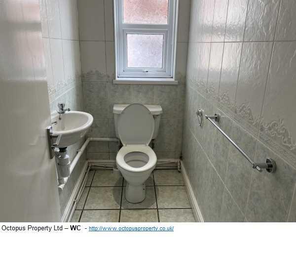 Picture 13