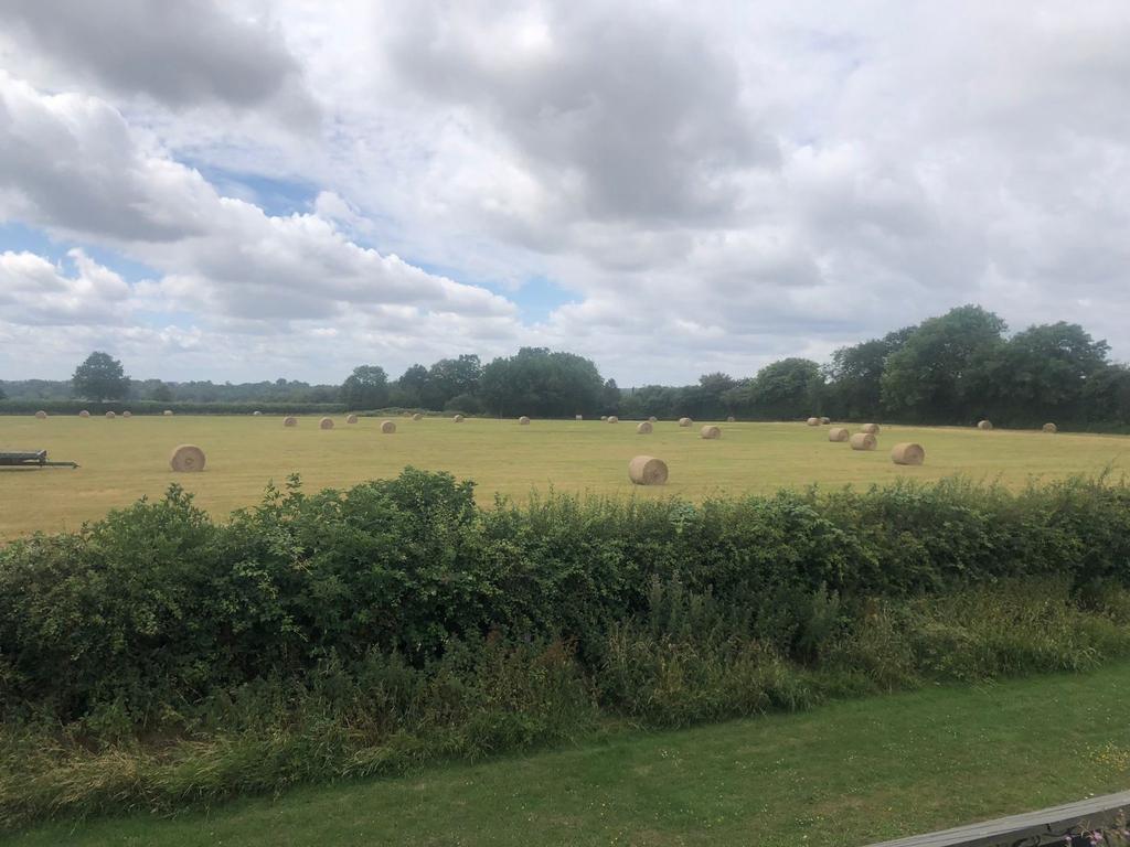 Fields