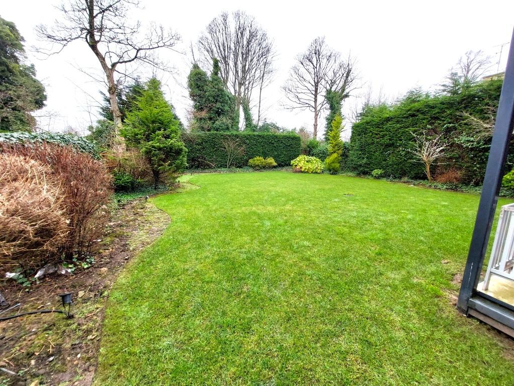 Communal Garden