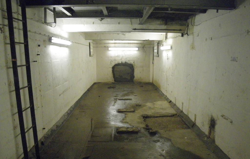 Odp 1196 jpg