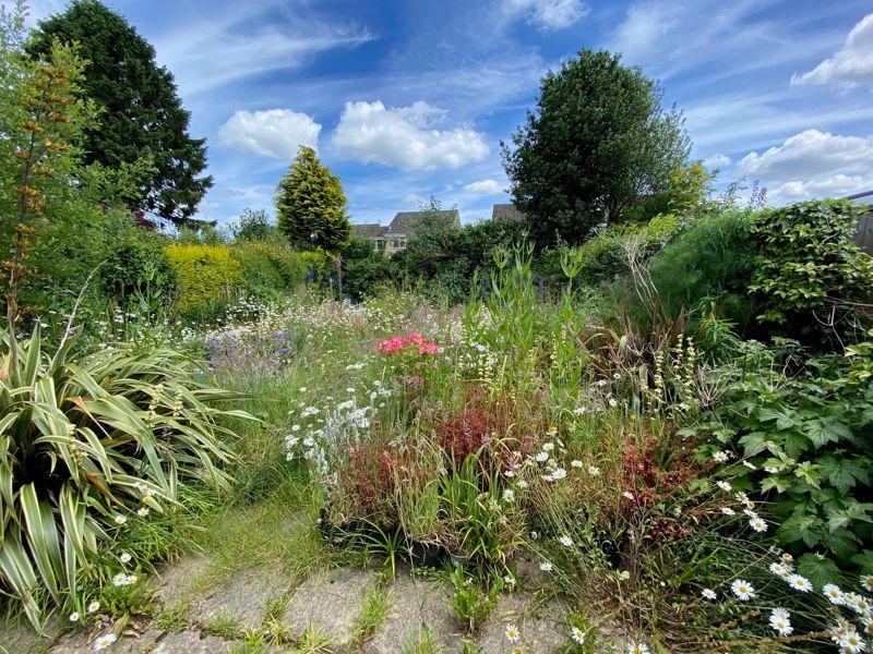 The Rear Garden
