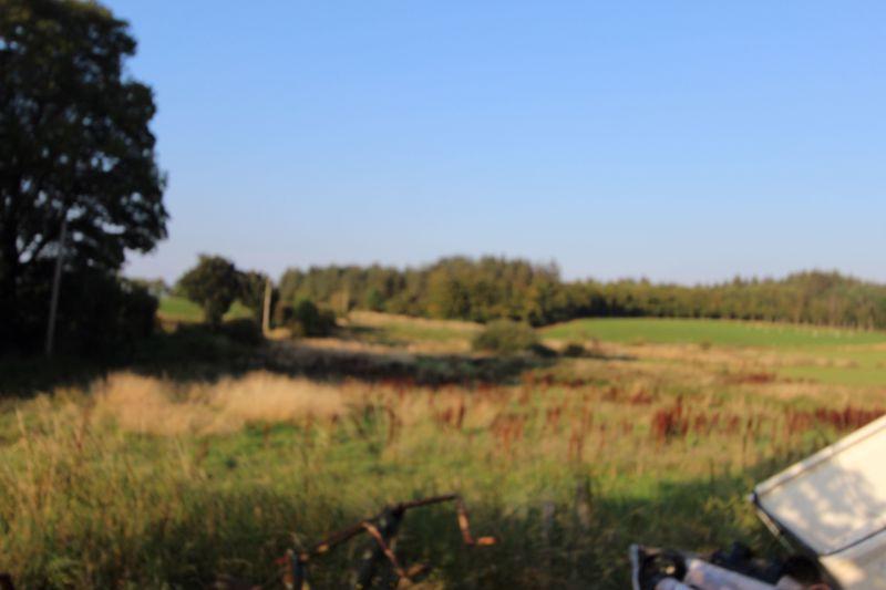 View to East