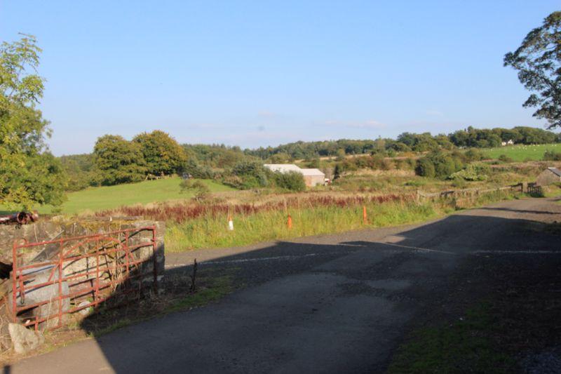 View to the south