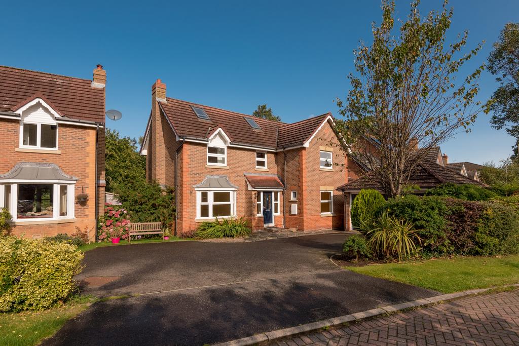 Property Image 36